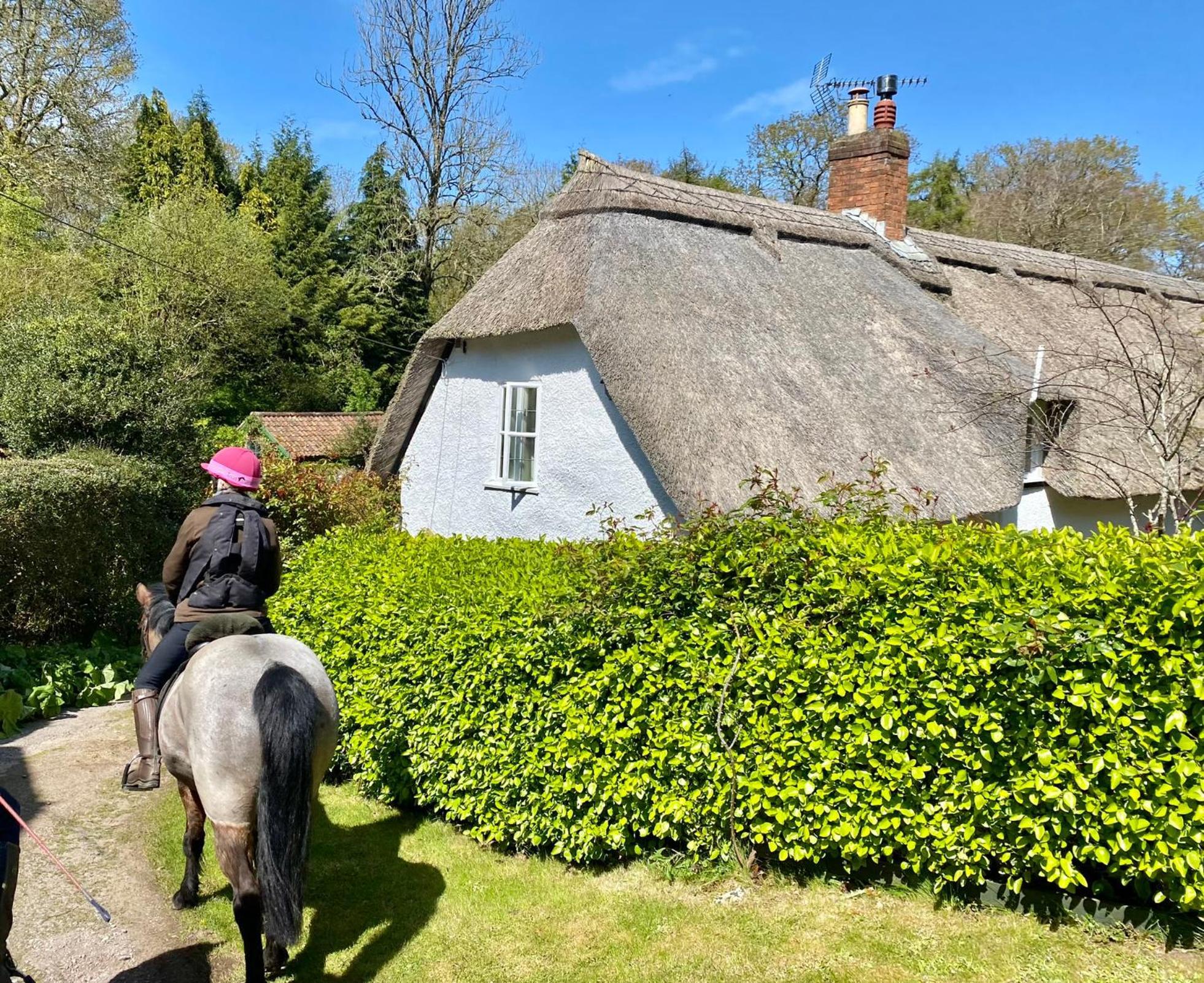 Pardlestone Farm B&B Kilve Exteriör bild