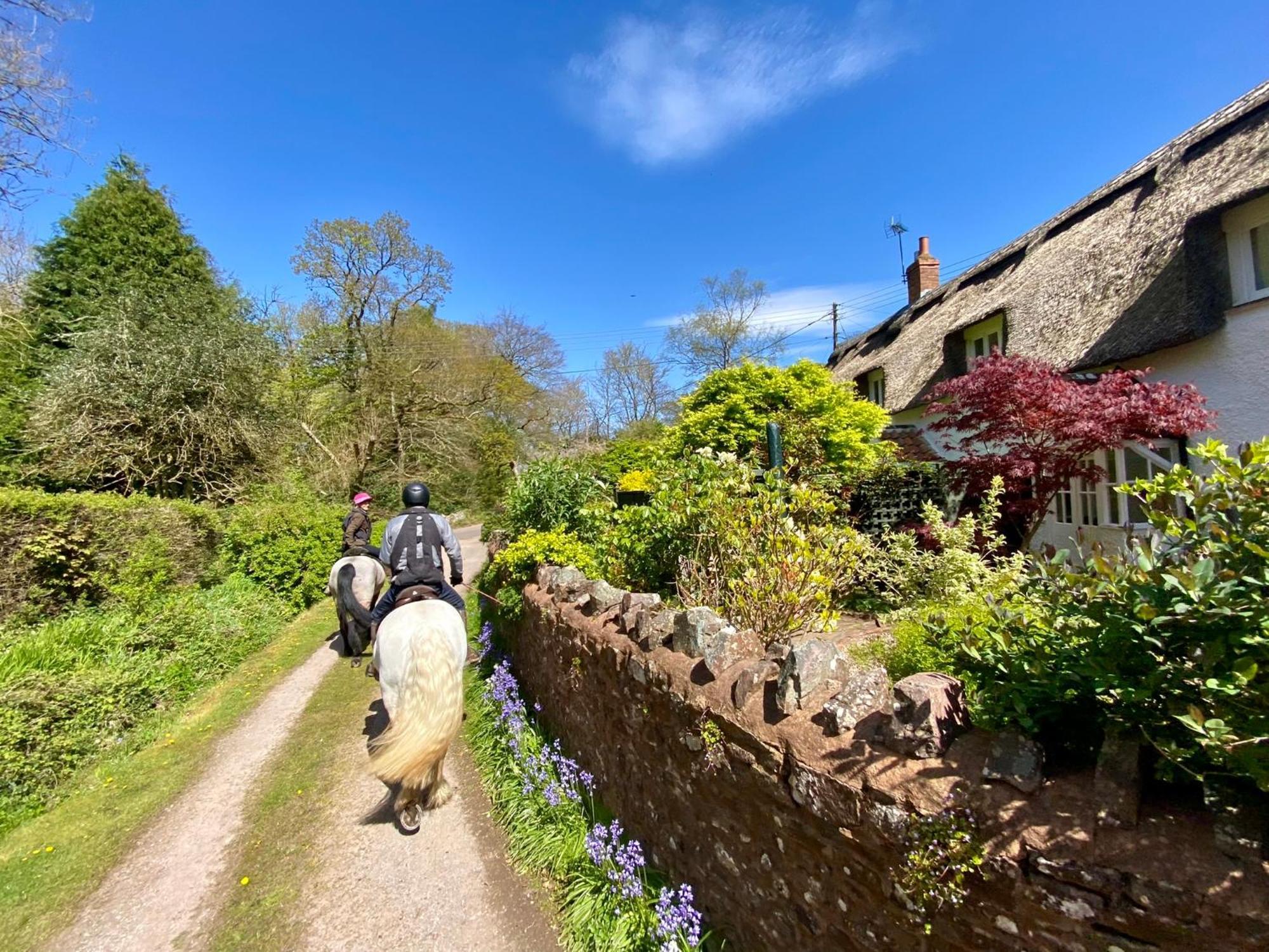 Pardlestone Farm B&B Kilve Exteriör bild