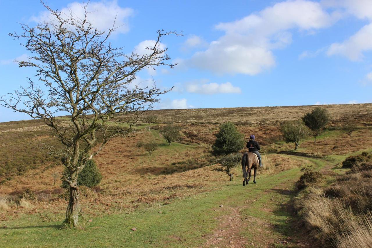 Pardlestone Farm B&B Kilve Exteriör bild